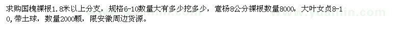求購(gòu)國(guó)槐、意楊、大葉女貞