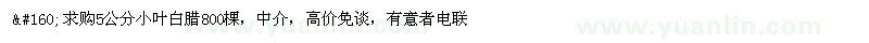 求購5公分小葉白臘