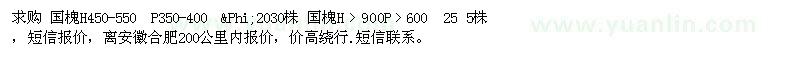 求購國槐