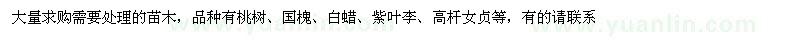 求購桃樹、國槐、白蠟等處理苗木