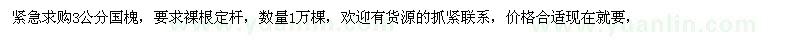 求購3公分國槐