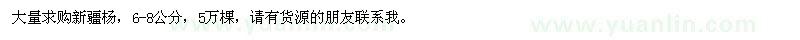 求購(gòu)6-8公分新疆楊