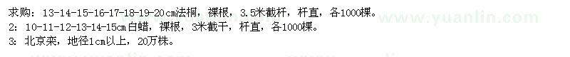 求購法桐、白蠟、北京欒