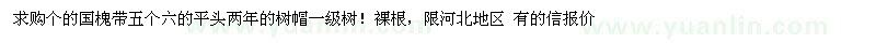 求購國槐