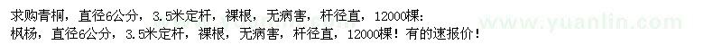求購青桐、楓楊