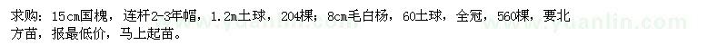 求購15公分國槐、8公分毛白楊