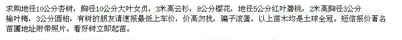 求購杏樹、大葉女貞、云杉