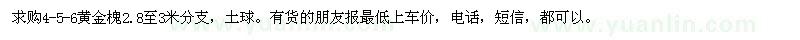 求購(gòu)4、5、6公分黃金槐 