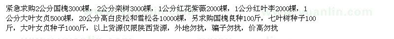 求購國槐、欒樹、紅葉李、大葉女貞等