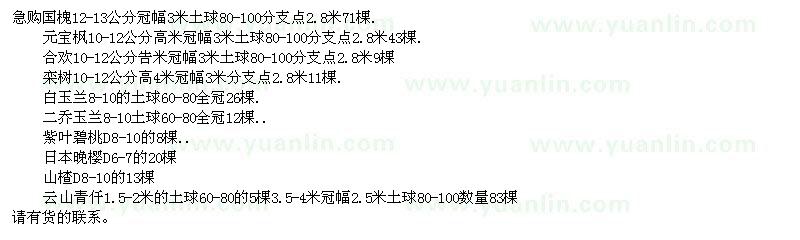 求購(gòu)國(guó)槐、元寶楓、合歡、欒樹等