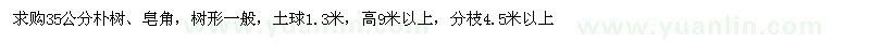 求購35公分樸樹、皂角