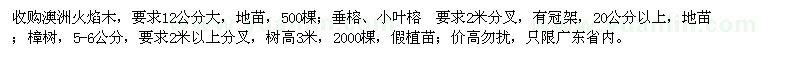 求購澳洲火焰木、垂榕、小葉榕、樟樹