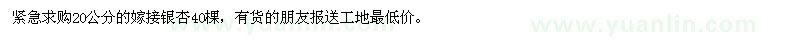 求購20公分嫁接銀杏