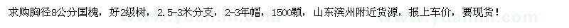 求購胸徑8公分國槐