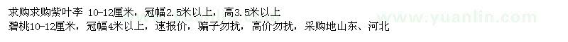 求購(gòu)紫葉李、碧桃