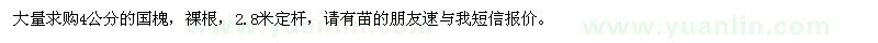 求購4公分國槐