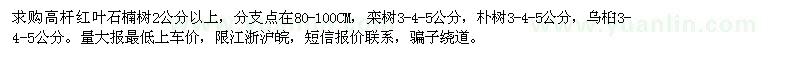 求購高桿紅葉石楠樹