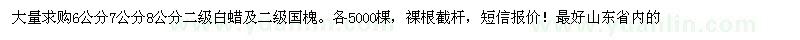 求購大量求購二級白蠟與國槐