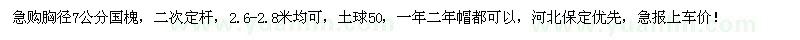 求購(gòu)胸徑7公分國(guó)槐