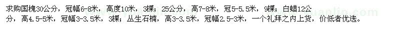 求購國槐、白蠟、叢生石楠