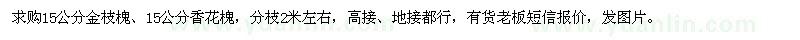 求購(gòu)15公分金枝槐、香花槐