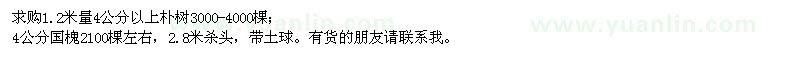 求購(gòu)1.2米量4公分以上樸樹(shù)、4公分國(guó)槐