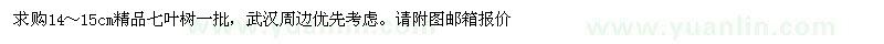 求購14～15七葉樹