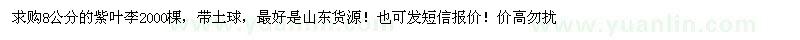 求購(gòu)8公分紫葉李