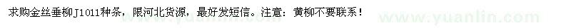 求購(gòu)金絲垂柳J1011種條