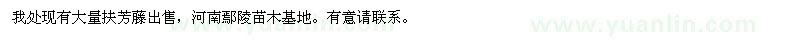 求購扶芳藤