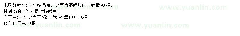 求購(gòu)8公分紅葉李、25公分樸樹(shù)、8公分白玉蘭