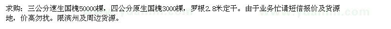 求購(gòu)速生國(guó)槐、原生國(guó)槐 