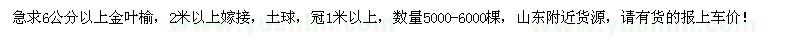 求購6公分以上金葉榆