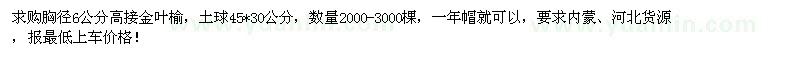 求購(gòu)胸徑6公分高接金葉榆