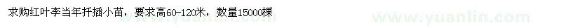 求購(gòu)紅葉李當(dāng)年扦插小苗