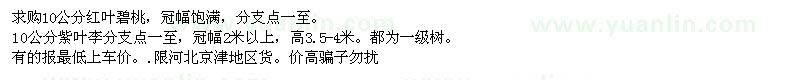 求購10公分紅葉碧桃、紫葉李 