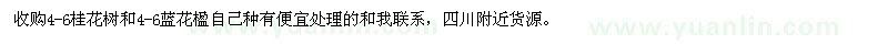 求購4-6公分桂花樹、藍花楹