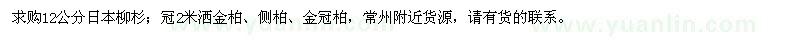 求購日本柳杉、灑金柏、側(cè)柏、金冠柏