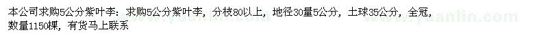 求購5公分紫葉李 