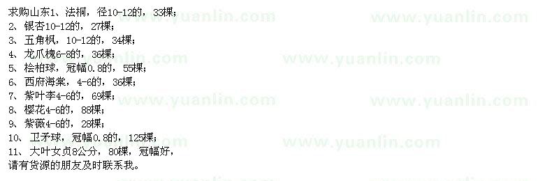 求購(gòu)法桐、銀杏、五角楓