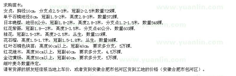 求購(gòu)女貞、石楠、日本晚櫻