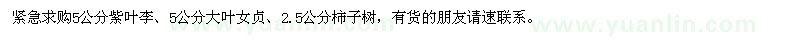 求購(gòu)紫葉李、大葉女貞、柿子樹