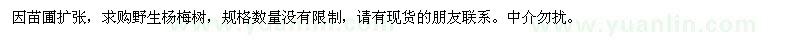 求購野生楊梅樹