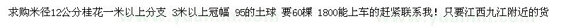 求購米徑12公分桂花