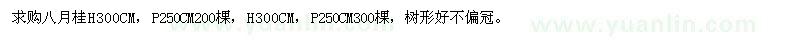 求購高300公分八月桂