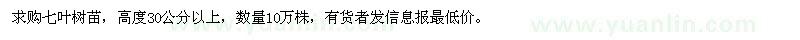 求購高30公分以上七葉樹苗