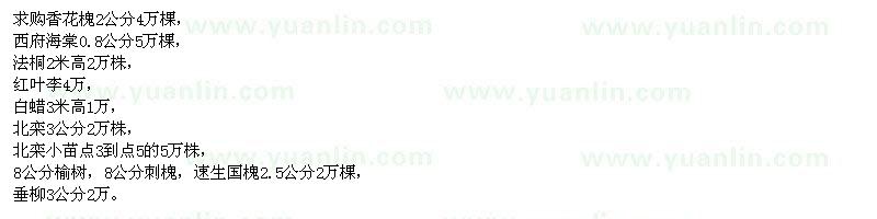 求購香花槐、西府海棠、法桐