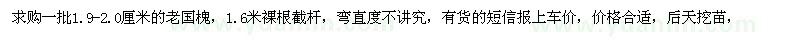 求購1.9-2公分老國槐
