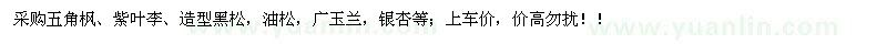 求購五角楓、紫葉李、造型黑松