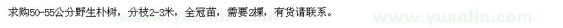 求購50-55公分野生樸樹